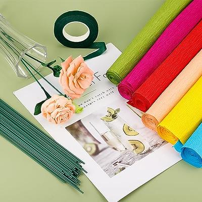 Crepe Paper Flower DIY Kit, 6pcs 35g Crepe Papel Rolls with Green Floral  Tape and 50pcs Floral Iron Wires for Crafting Wedding Birthday Party  Festival Decoration (6 Colors) - Yahoo Shopping