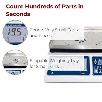 Bonvoisin Industrial Counting Weight Scale kg/g/lb/oz Electronic Digital  Inventory Counting Scale for Small Parts Coins Piece with Data