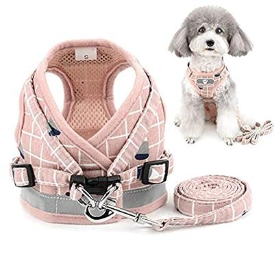 Leash Set - Dog Vest Harness for Small Dogs Medium Dogs- Adjustable  Reflective Step in Harness - M