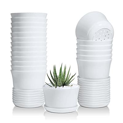 7 Inch Plant Pots, 6 Pack Flower Pots Indoor Outdoor, Decorative Planters  with Drainage Hole and Tray Saucer - Yahoo Shopping