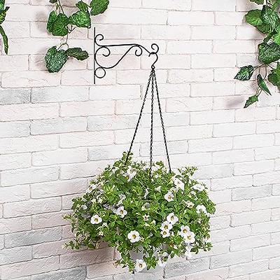 Decorative Black Metal Wall Planter Hooks for Hanging Plants and Flower  Pots (Set of 2) - Yahoo Shopping