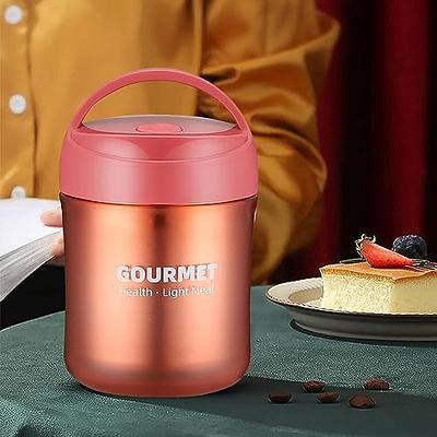 500ml Stainless Steel Thermos Food Flask Vacuum Insulated Soup Jar with  Handle