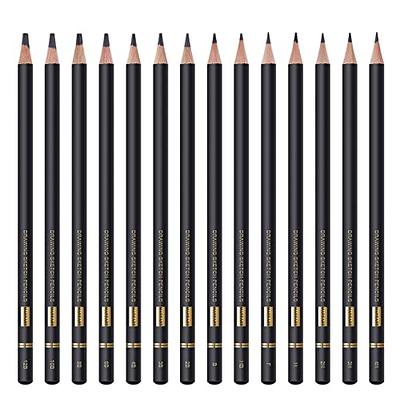 MARKART Professional Drawing Sketching Pencil Set - 14 Pieces,Graphite,(12B  - 4H), Ideal for Drawing Art, Sketching, Shading, Artist Pencils for  Beginners & Pro Artists - Yahoo Shopping