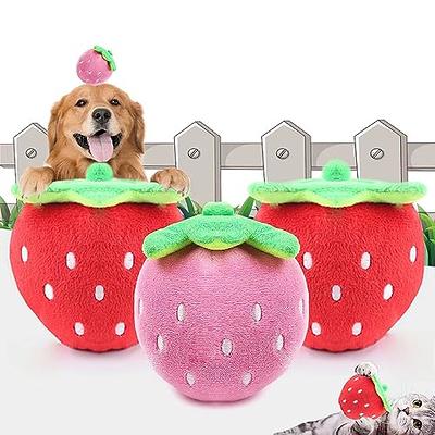 Outus 2 Pcs Dog Treat Ball Interactive Dog Toys Interactive Food Dispensing  Dog Toy Treat Ball Dispenser Dog Puzzle Toys Dog Food Dispenser Toy Slow