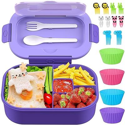 Umami Bento Box Adult Lunch Box with Utensils 40 oz Large All-in-One Meal  Prep B