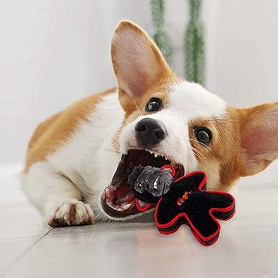 Tux® Treat Toy, Hard Chew Toys for Dogs