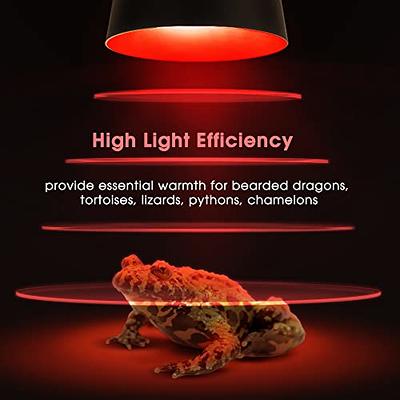 Briignite G9 Infrared Heat Lamp Bulbs for Reptile, Mini Reptile Light,  Dimmable Night Red UVA Reptile Heat Lamp, 2 Pin Base Mini Heat Bulbs 50W,  Bearded Dragon Turtle Lizard, 6 Pack - Yahoo Shopping