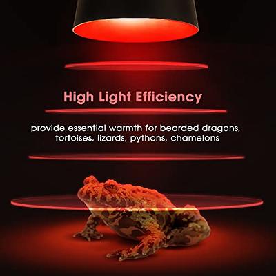 Briignite G9 Infrared Heat Bulbs Lamp Bearded Turtle 50W, Dragon Reptile Night Reptile Pack Lizard, Heat 6 Mini Bulbs - UVA Dimmable for Red Reptile, Pin Lamp, Shopping 2 Heat Light, Mini Yahoo Base