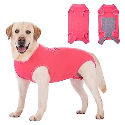 Axcimond Dog Surgery Recovery Suit Female Spayed Dog Recovery Suit Neuter  Suit for Male Dogs Onesie