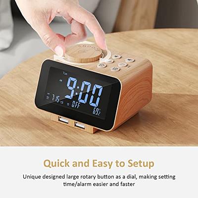 PRUNUS J-288 Rechargeable Radio Portable, AM FM Stereo Radio with Bluetooth  Speaker, Sleep Timer and Power-Saving Display, Battery Operated Radio with  AUX jack, USB Disk and TF Card, NO Manual Preset