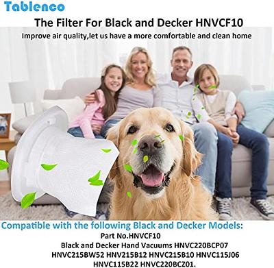 Replacement Black + Decker Dustbuster QuickClean Filter For HNVC215BW52,  HNV215B12, HNVC215B10, HNVC115J06, HNVC115B22, HNVC220BCZ01 Hand Vacuums.  Compare to HNVCF10