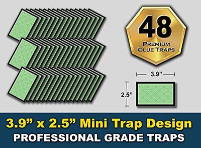 MAXguard MaxGuard Clothes Moth Traps (12+2 Free Traps) Extra