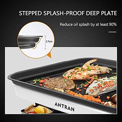 Stove Top Grill Pan - Smokeless Nonstick Indoor Grill Plate for Gas &  Electric