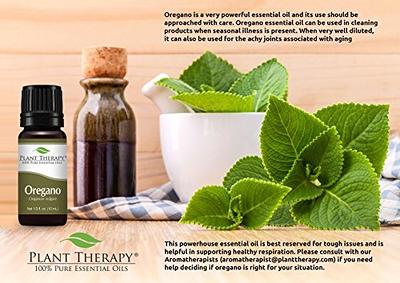 Plant Therapy Organic Oregano Essential Oil 100% Pure, USDA Certified  Organic, Undiluted, Natural Aromatherapy, Therapeutic Grade 10 mL (1/3 oz)