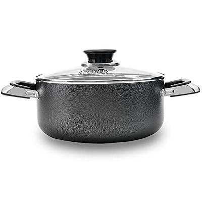 HexClad 10 Quart Hybrid Stainless Steel Stock Pot with Glass Lid, Nonstick  