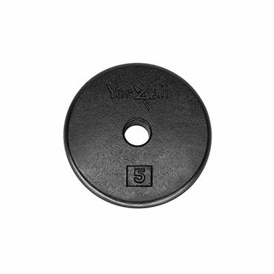 Yes4All 1 inch Cast Iron Weight Plates for Dumbbells, Standard