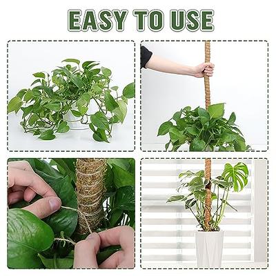 2 Pack Moss Pole, 28 Inch Bendable Moss Pole for Plants Monstera, Moss  Poles for Climbing Plants Indoor, Coir Plant Pole Sticks Support Stakes for