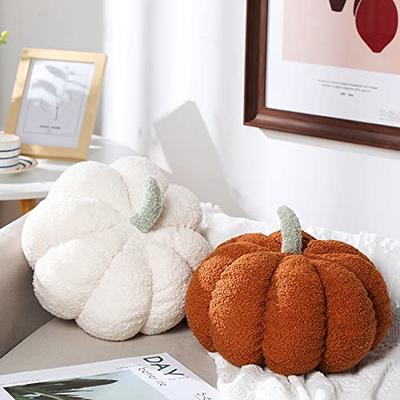 Throw Pillows Pumpkin with STUFFING INCLUDED, Set of 2 18x18 Couch