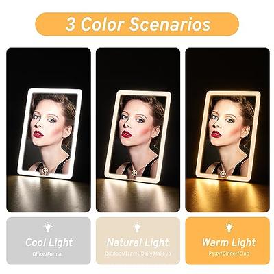  Fancii LED Lighted Large Vanity Makeup Mirror with 10X  Magnifying Mirror - Dimmable Natural Light, Touch Screen, Dual Power,  Adjustable Stand with Cosmetic Organizer - Gala