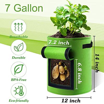 Grow Your Own Fruits And Veggies With Nonwoven - Temu