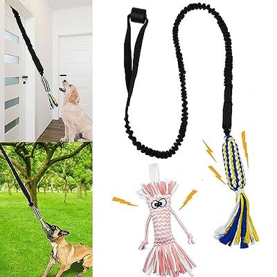 Eaersan Spring Pole Dog Rope Toys,Dog Interactive Tether Tug of War Toy,Dog  Indoor/Outdoor Bungee Hanging Toy for Exercise and Solo Play for Small