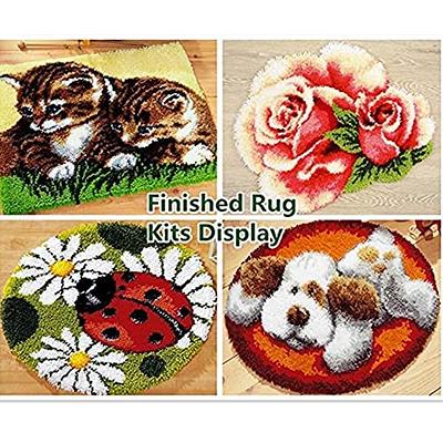 LAPATAIN Latch Hook Kits DIY Crochet Yarn Kits Flower Car Carpet Embroidery  Hook Rug Kit Needlework Sets Cushion for Kids or Adults Home Decor  20x15inch Style B
