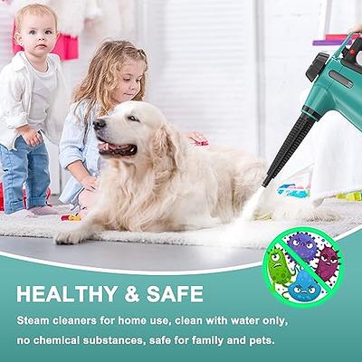 Handheld Steam Cleaner for Home Use, Steamer for Cleaning with