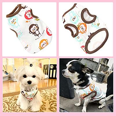 Petcare 3 Pack Small Dog Shirts Girl Puppy Clothes Cat T Shirt Soft Cotton Short Sleeve Tee Shirts for Small Dogs Girls Chihuahua Yorkie Shih Tzu