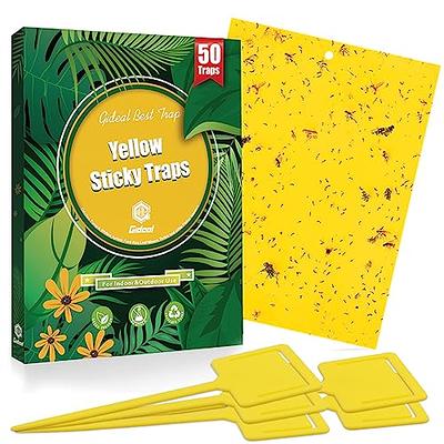BestTrap ST2035 Sticky Traps, Flying Traps for Fruit Fly, Fungus Gnats,  Aphids, Other Flying Insects, 6x8 Inch, 20 Pack - Yellow