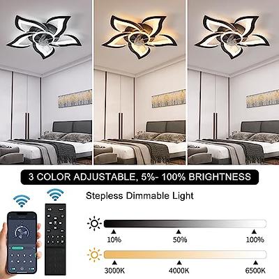  Dalouguan Ceiling Fan with Lights Remote Control, 24