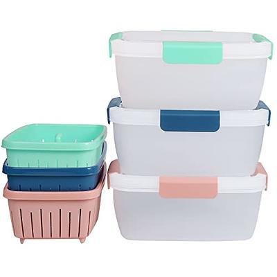 shopwithgreen 68oz Berry Keeper Container, Fruit Produce Saver Food Storage  Containers with Removable Drain Colanders, Vegetable Fresh Keeper Set, Refrigerator Organizer