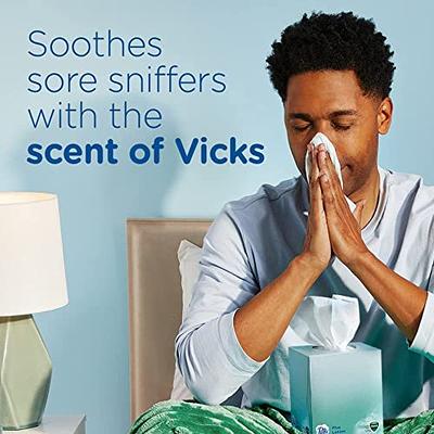 Puffs Plus Vicks Lotion 2-Ply Facial Tissues, (Pack of 6 Box