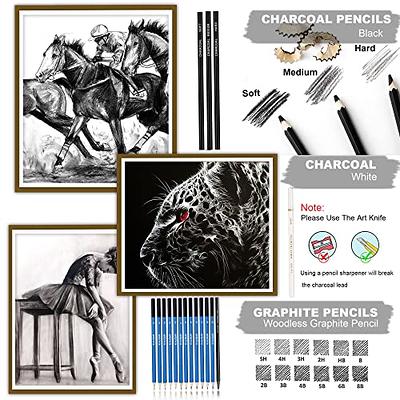 H&B 40pcs Professional Sketch Charcoal Pencil Set for kid easy