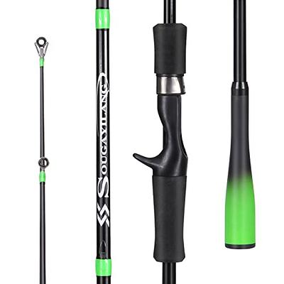 baitcasting Rod, 4 Piece Casting Spinning Fishing Rods Portable 4