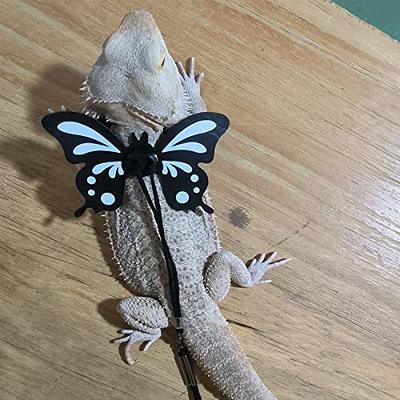 Juvenile bearded clearance dragon leash