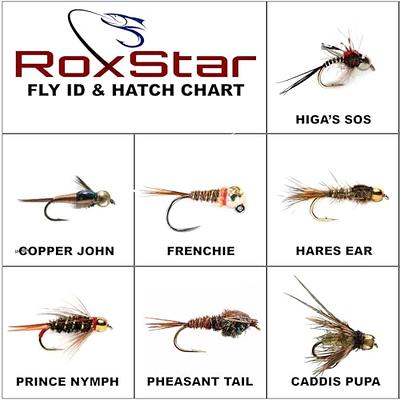 RoxStar Fly Shop Nymph Fly Hatch Pack!