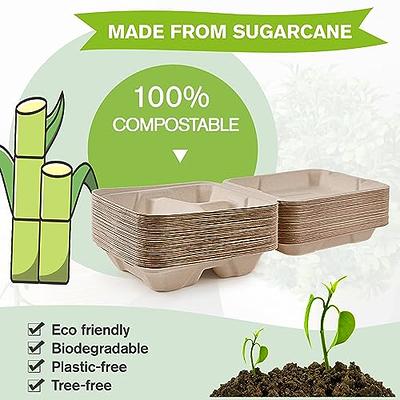 ECOLipak 50 Pack Clamshell Take Out Food Containers, 100% Compostable  Disposable To Go Containers, 8X8 Heavy-Duty To Go Boxes for Food