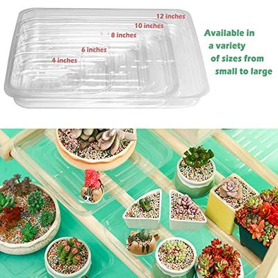 30 Pack Plant Saucers for Indoors 4 Inches Plant Trays for  Pots Plastic Trays for Plants Square Plant Drip Trays for Potted Plants  Flower Pot Saucers Clear Plant Plates to