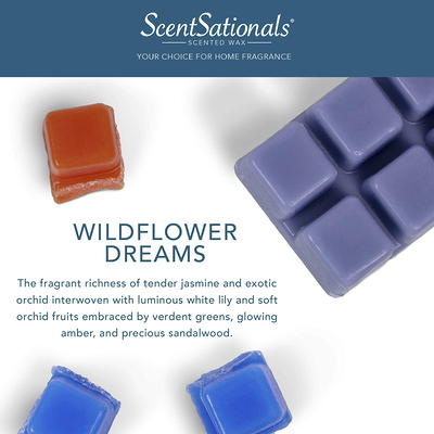 Wildflower Dreams Scented Wax Melts, ScentSationals, 2.5 oz (5