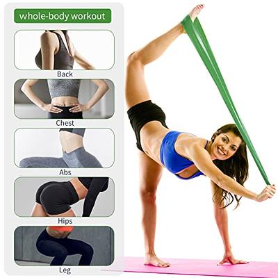 LDJRCP Resistance Exercise Bands Fitness Bands with Carry Bag