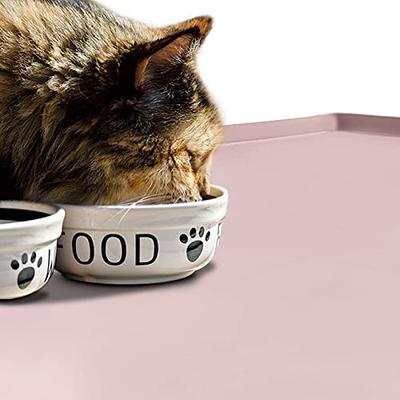 Ptlom 2 Pcs Silicone Pet Placemat for Dogs and Cats, Non-Slip Waterproof Dog  Feeding Bowl