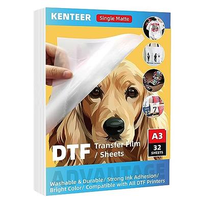 TRILINK DTF Transfer Film Paper A4 (8.5 x 11)-20 Sheets, Premium  Double-Sided Matte Clear PreTreat Sheets - PET Heat Transfer Paper for  Sublimation
