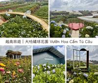 越南花園城市、海拔超過1500米的大叻，打卡當地人喜愛的繡球花園！