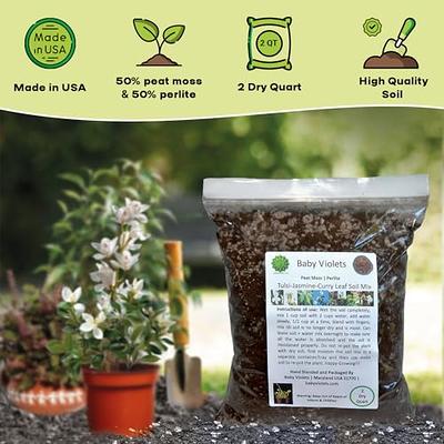 Tulsi Holy Basil Curry Leaf Jasmine Plant Potting Soil Mix Peat