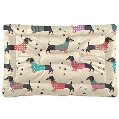 Wassud Funny Dachshund Dog Washable Small Dog Bed,Dog mats for