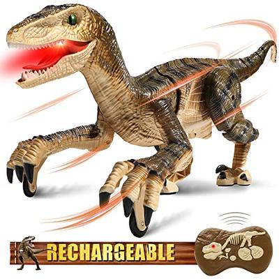 Discovery Kids Remote Control RC T Rex Dinosaur Electronic Toy Action  Figure Moving & Walking Robot w/Roaring Sounds & Chomping Mouth, Realistic