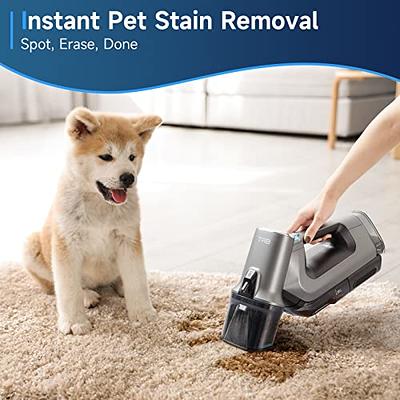 Carpet Cleaner for Pet Stains