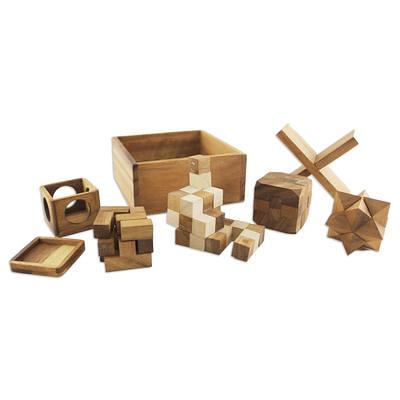 12 Handcrafted Wood Puzzles with Box from Thailand, 'Array of Challenges