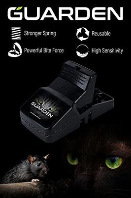 Cisvio Rat Trap Cage Humane Live Rodent Trap Cage Mouse Control Bait Catch That Work for Indoor and Outdoor Small Animal