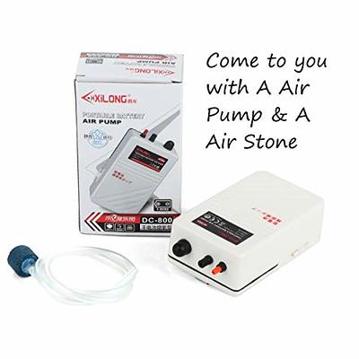  HITOP Dual Outlet Aquarium Electric Air Pump, Whisper  Adjustable Fish Tank Aerator, Quiet Oxygen Pump with Accessories for 20 to  100 Gallon (2 outlets) : Pet Supplies